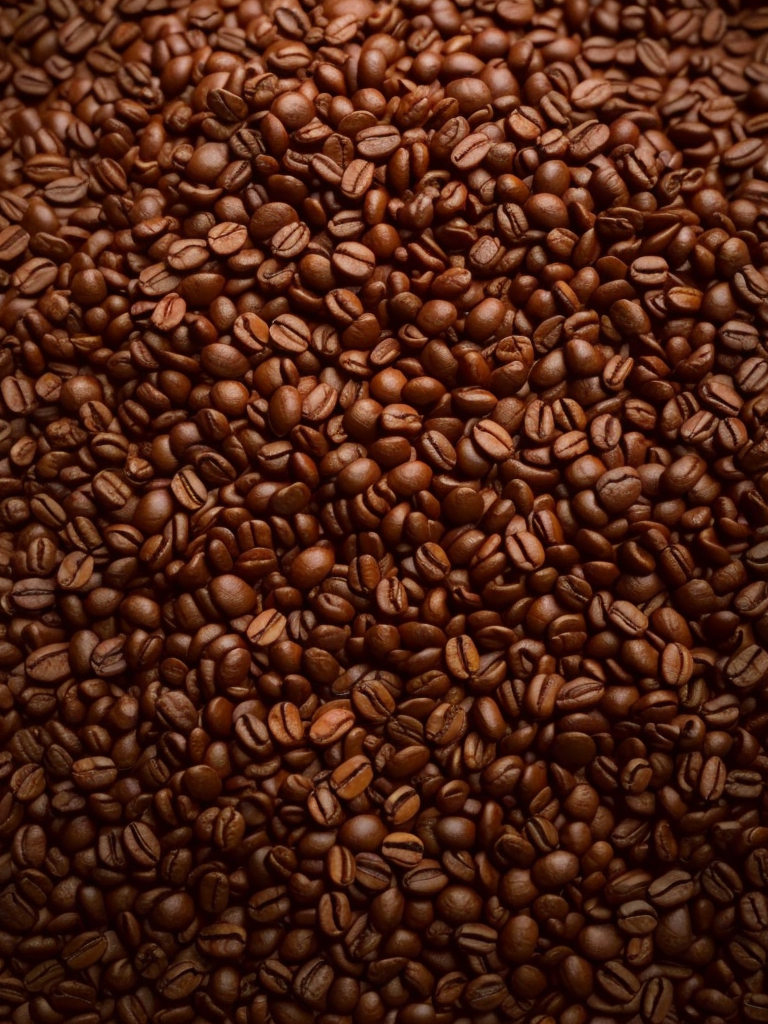 Discover the Best Coffee Beans for Novices